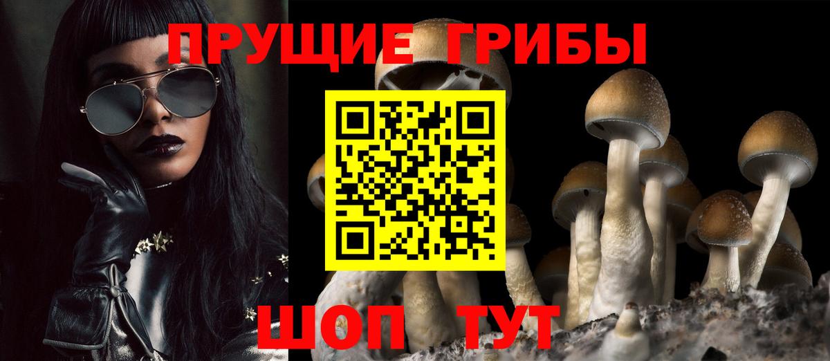Галлюциногенные грибы мицелий  Вход с VPN  Павловский Посад  Псилоцибиновые грибы ЛСД 